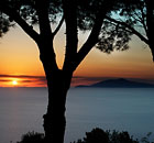 Alle Ginestre Capri Bed & Breakfast