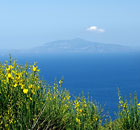 Alle Ginestre Capri Bed & Breakfast